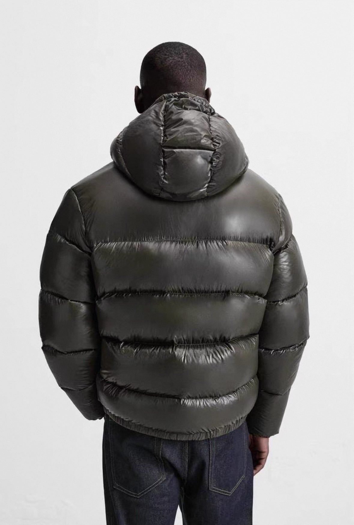 Shiny Puffer