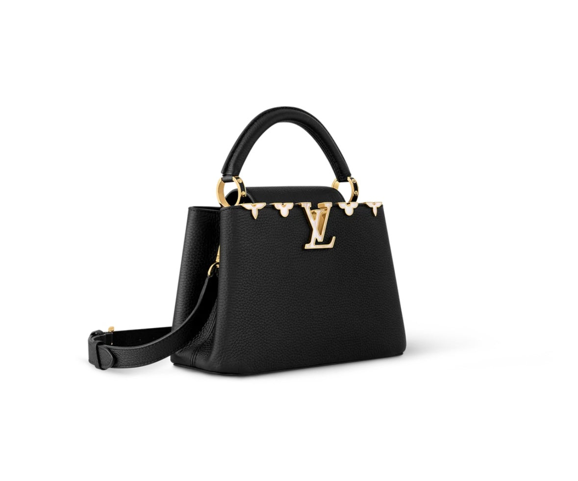 LV Capucines Bag