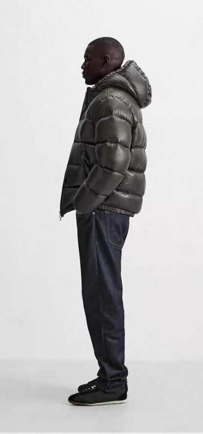 Shiny Puffer
