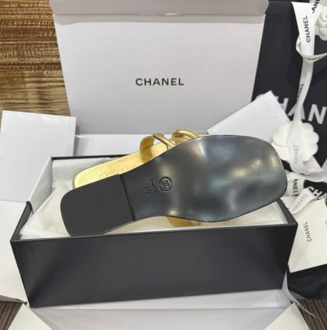 CC Golden Slides