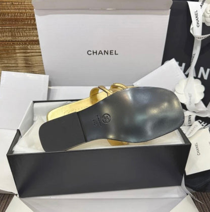 CC Golden Slides
