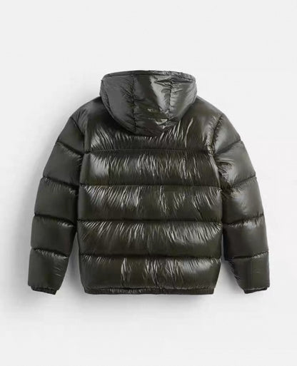 Shiny Puffer