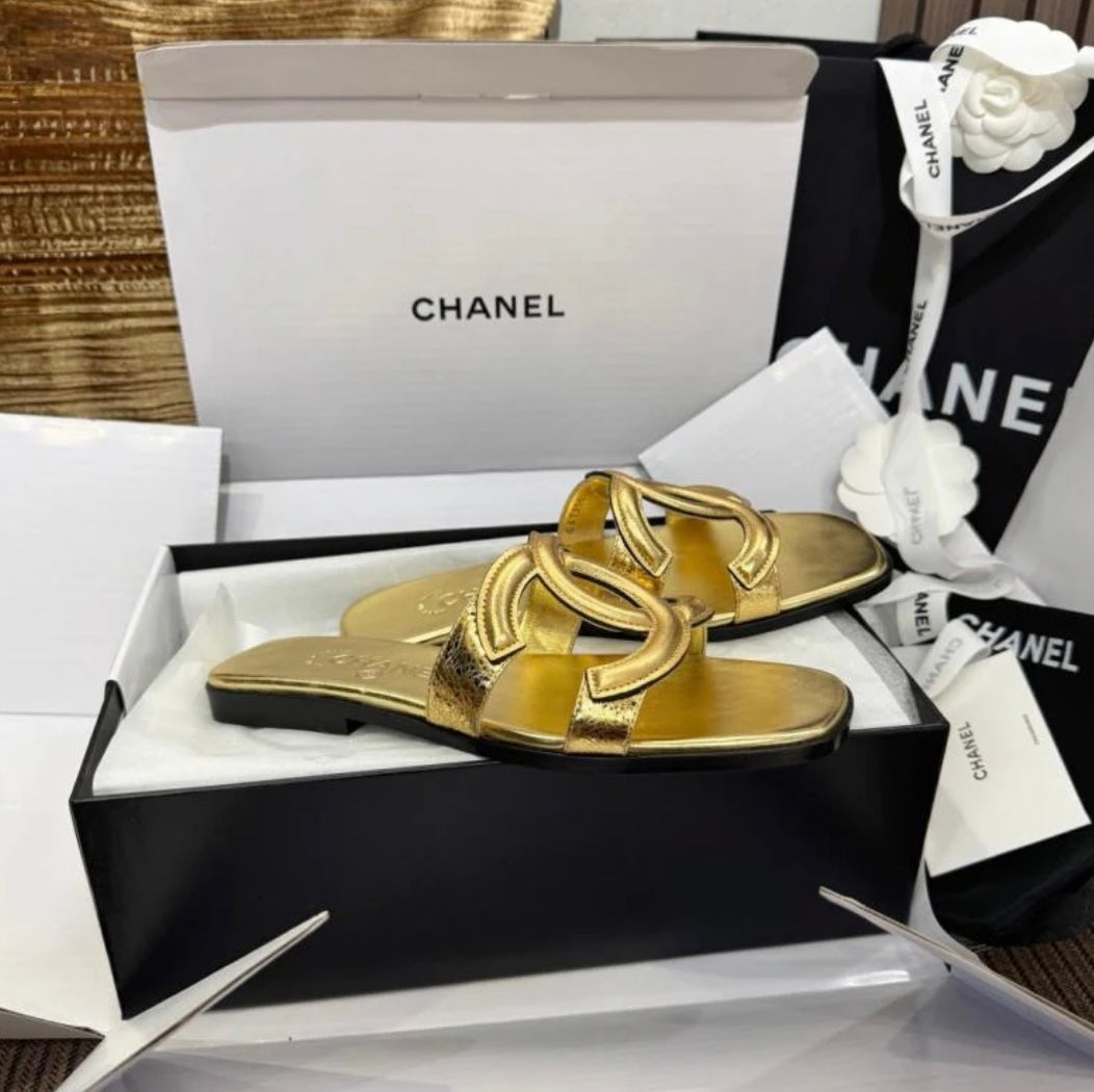 CC Golden Slides