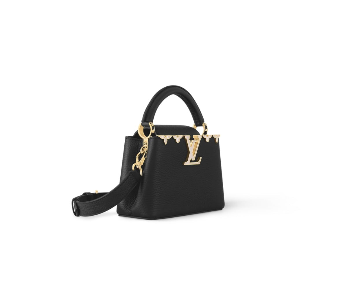 LV Capucines Bag