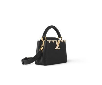 LV Capucines Bag