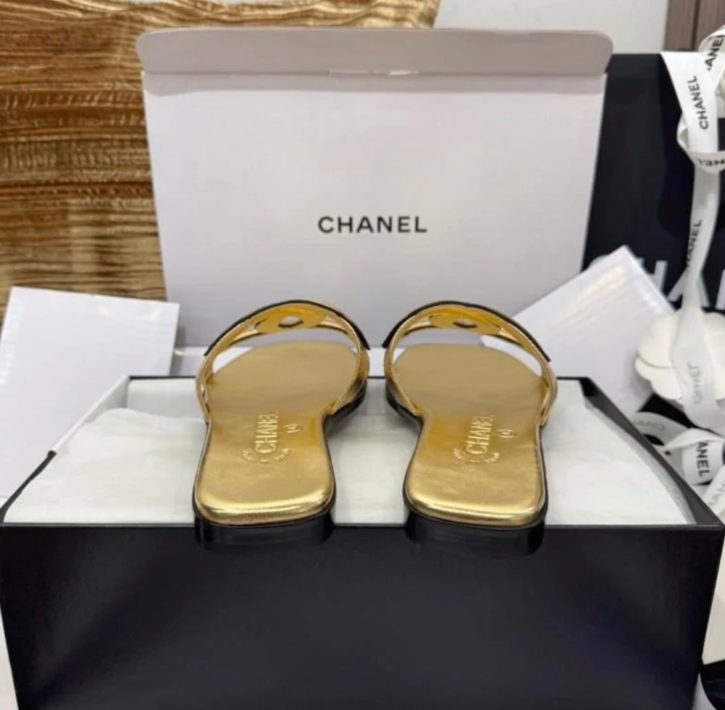 CC Golden Slides